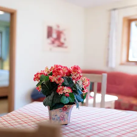 Haus Alpenstern Alpengluehen Апартаменты *